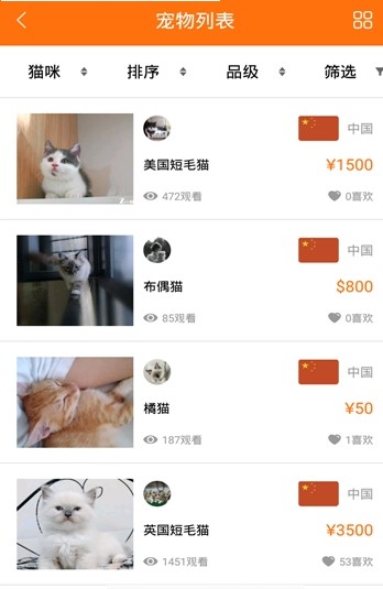 宠小七安卓手机版app下载图片1