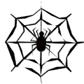 蛛网SpiderNetwork app