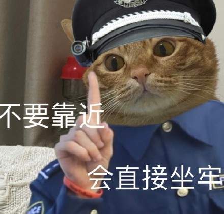 猫咪警察表情包图片大全下载图片1