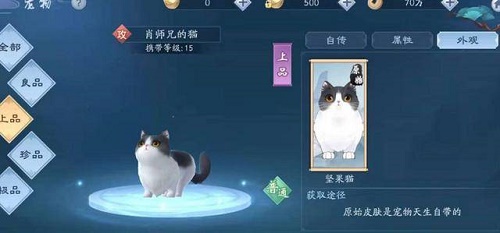 新笑傲江湖手游肖师兄的猫怎么获得 新笑傲江湖手游肖师兄的猫获得方法